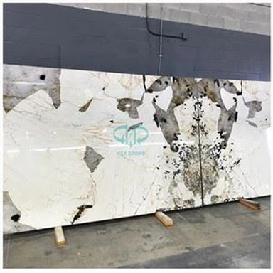 Patagonia Quartzite Slab